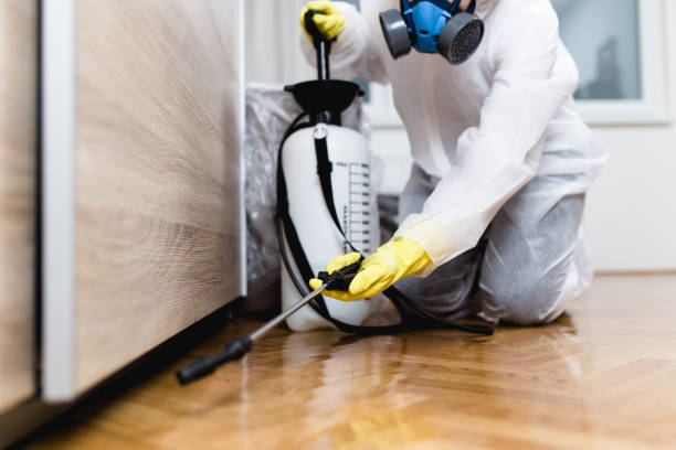 Best Affordable Pest Control Services  in Granbury, TX