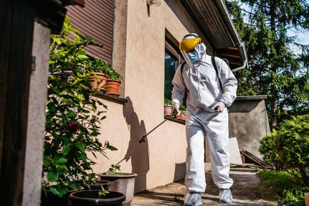 Best Local Pest Control Services  in Granbury, TX
