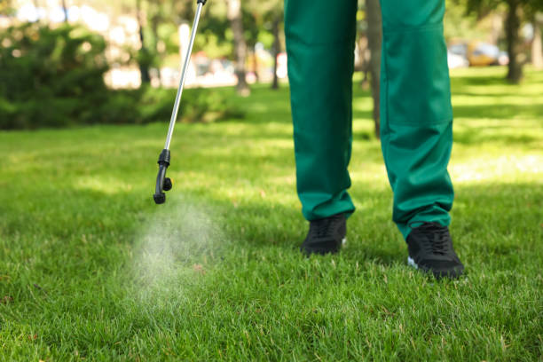 Best Best Pest Control Companies  in Granbury, TX