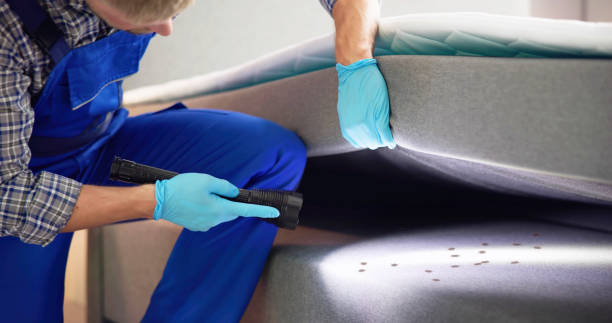 Pest Control for Restaurants in Granbury, TX
