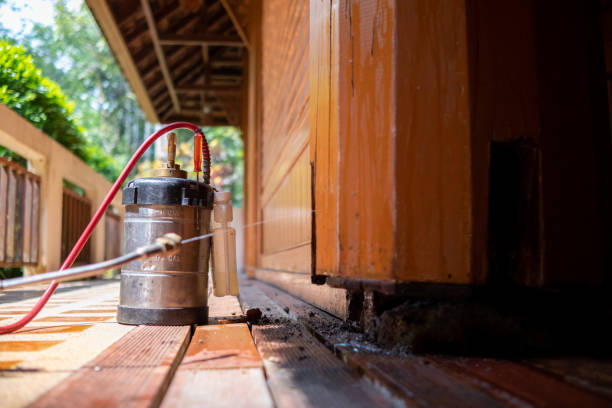 Best Pest Removal Services  in Granbury, TX