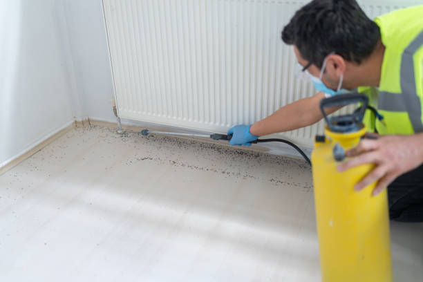 Best Exterminator Services  in Granbury, TX