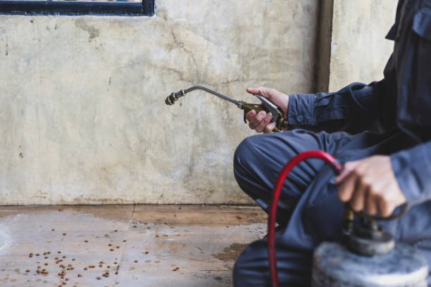 Best Affordable Pest Control Services  in Granbury, TX
