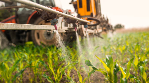 Reliable Granbury, TX Pest Control Solutions